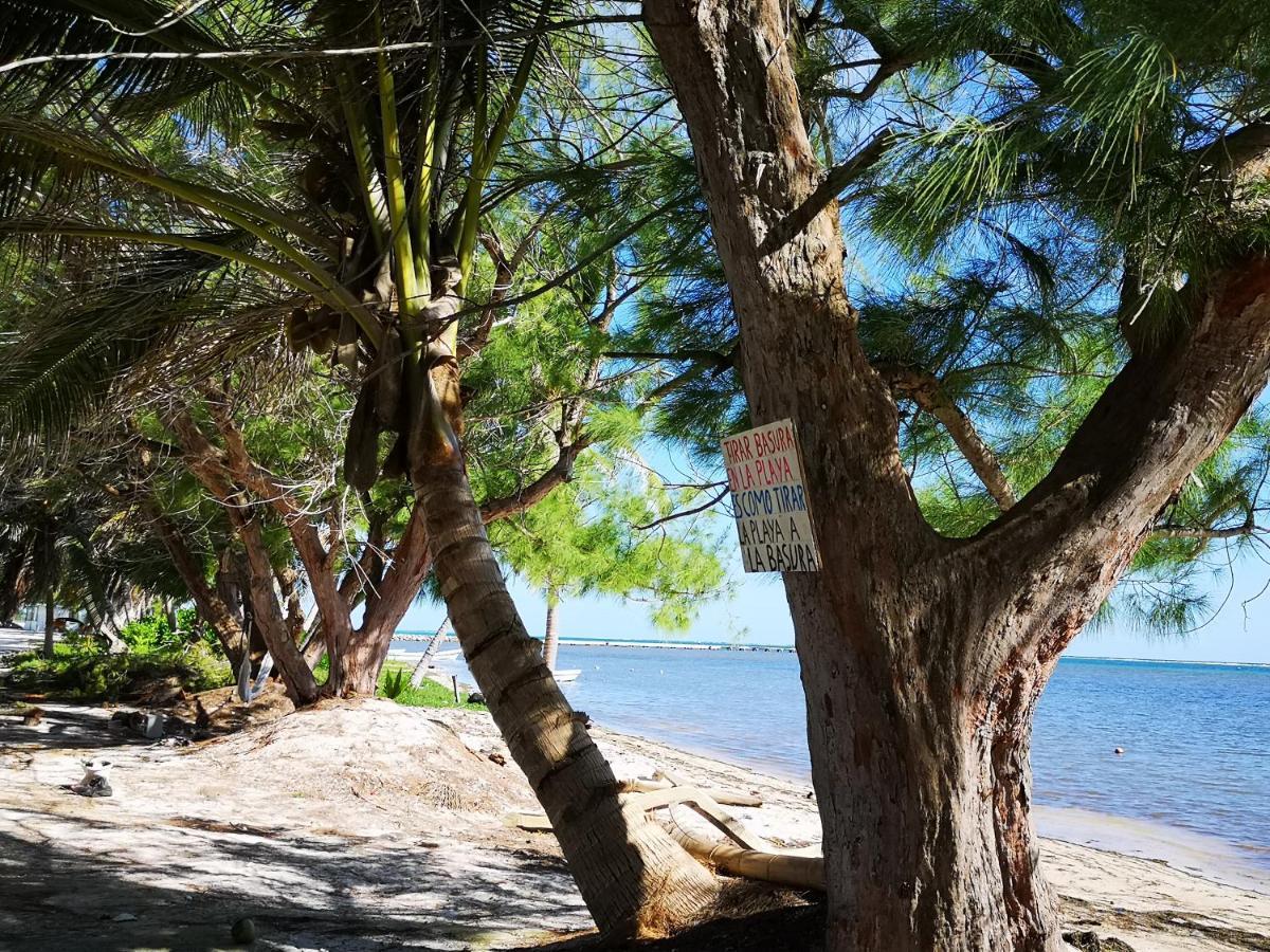 Xcalak Caribe Lodge Экстерьер фото