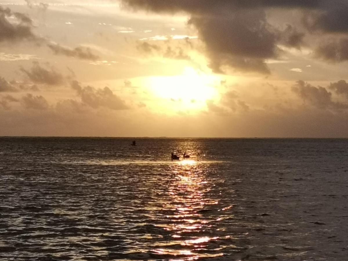 Xcalak Caribe Lodge Экстерьер фото